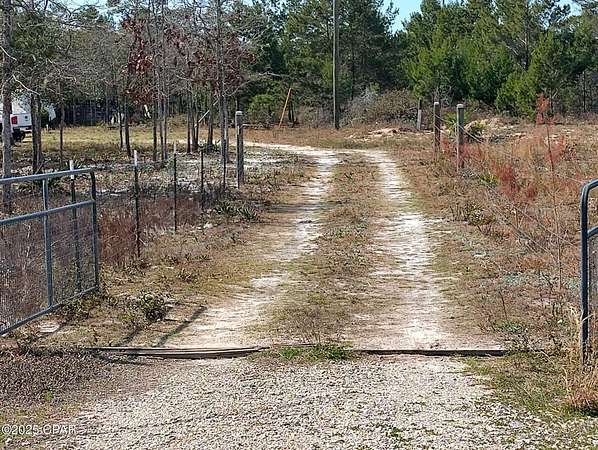 10 Acres of Land for Sale in Altha, Florida