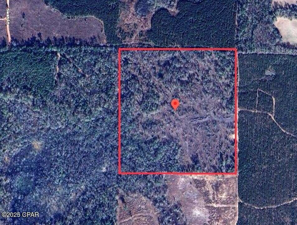 40 Acres of Recreational Land for Sale in Campbellton, Florida