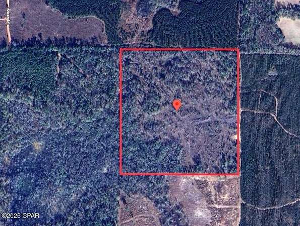 40 Acres of Recreational Land for Sale in Campbellton, Florida