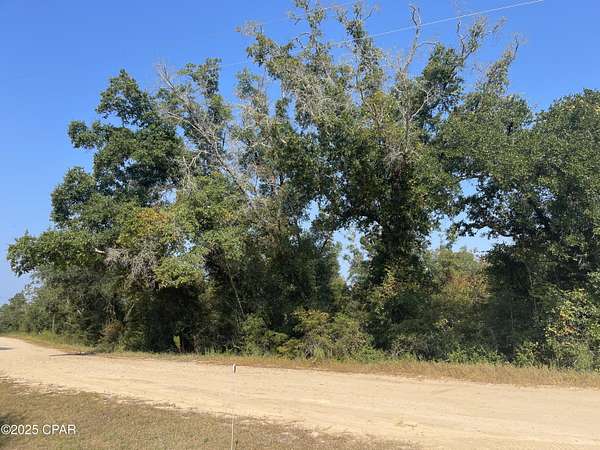 1.2 Acres of Residential Land for Sale in Alford, Florida