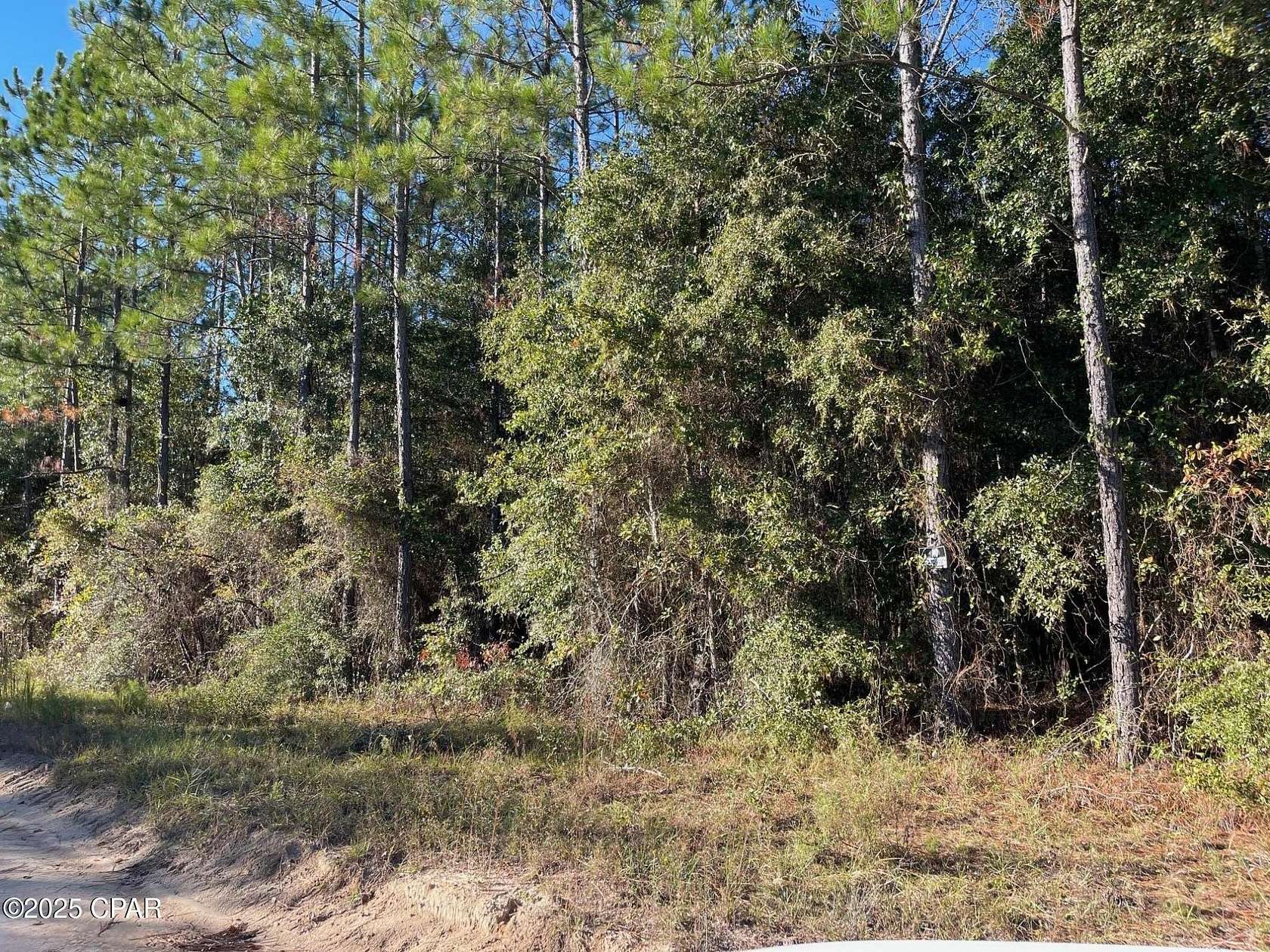 7.5 Acres of Land for Sale in Greenwood, Florida
