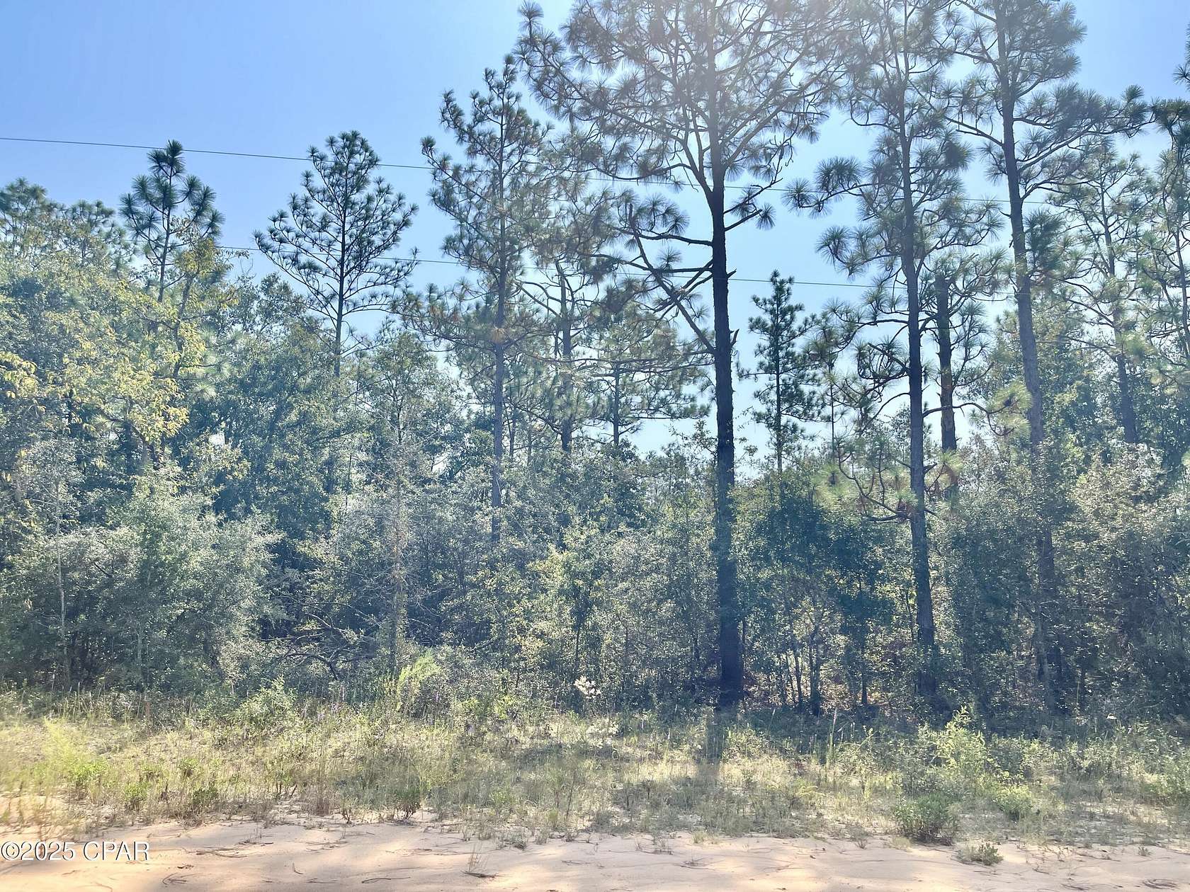 1 Acre of Residential Land for Sale in Alford, Florida