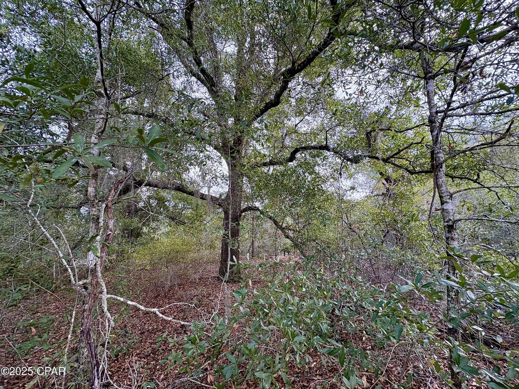 1.2 Acres of Residential Land for Sale in Alford, Florida