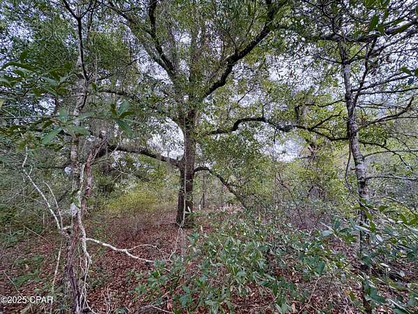 1.2 Acres of Residential Land for Sale in Alford, Florida