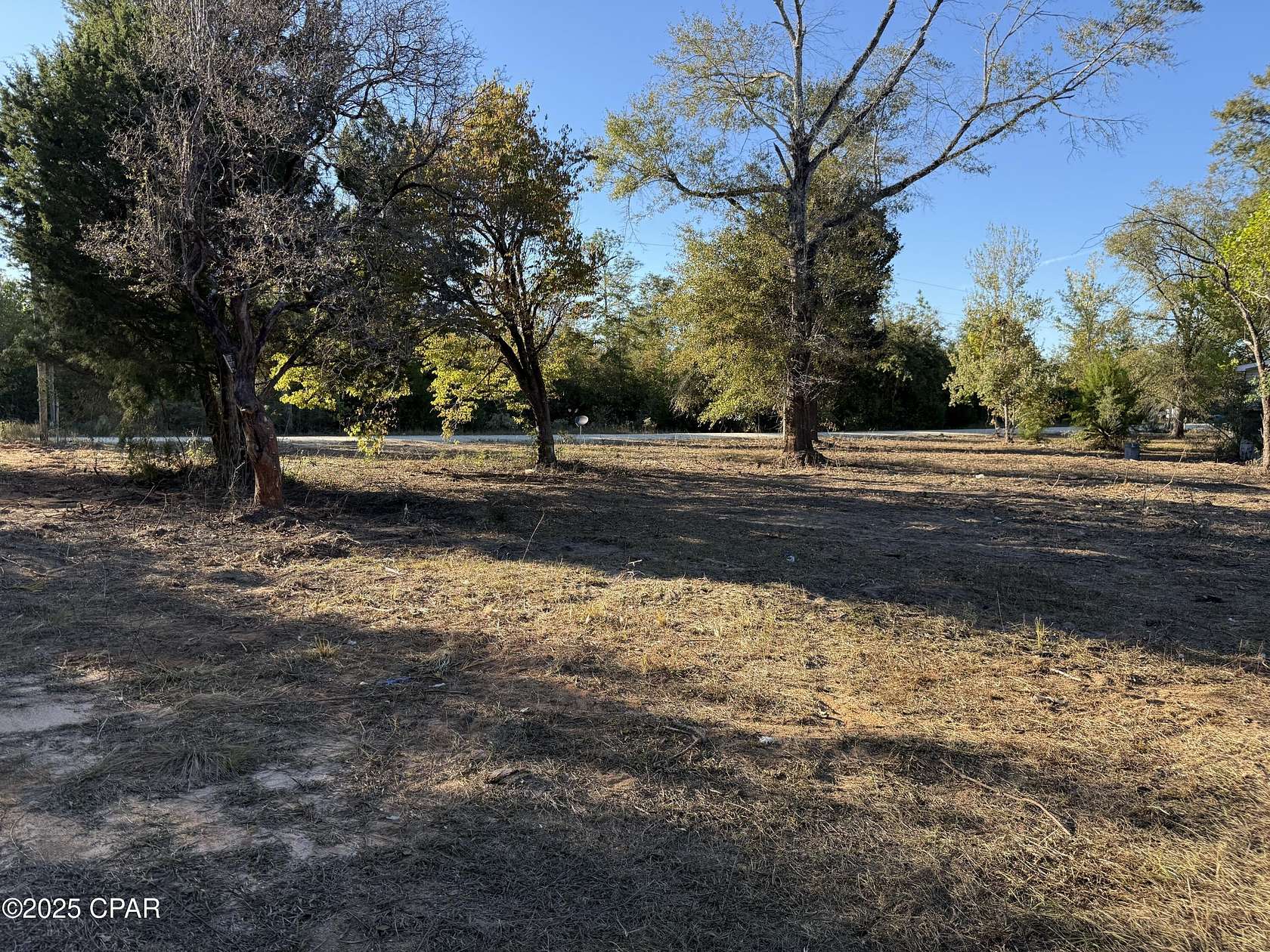 6.9 Acres of Residential Land for Sale in Altha, Florida