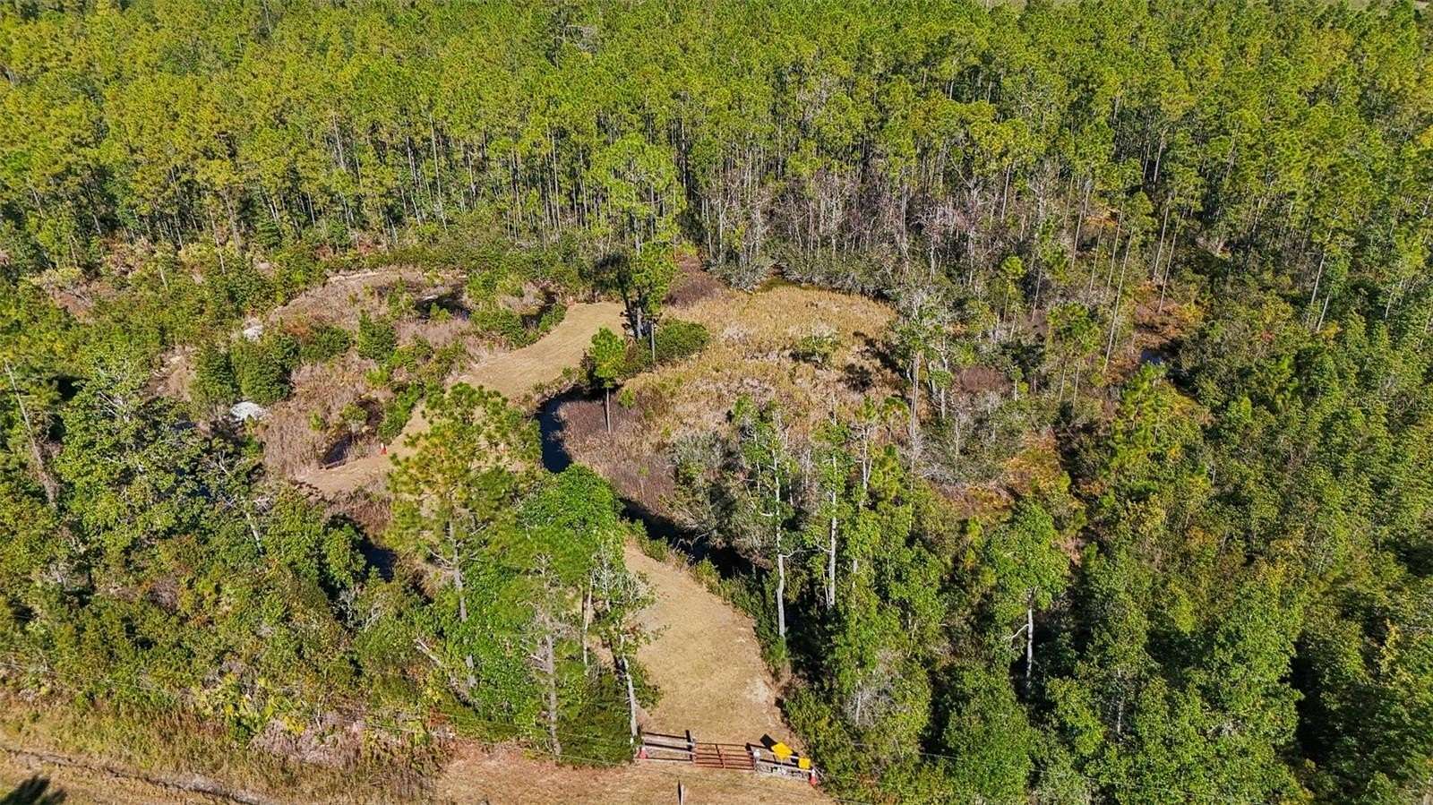 10.5 Acres of Recreational Land for Sale in Fort McCoy, Florida