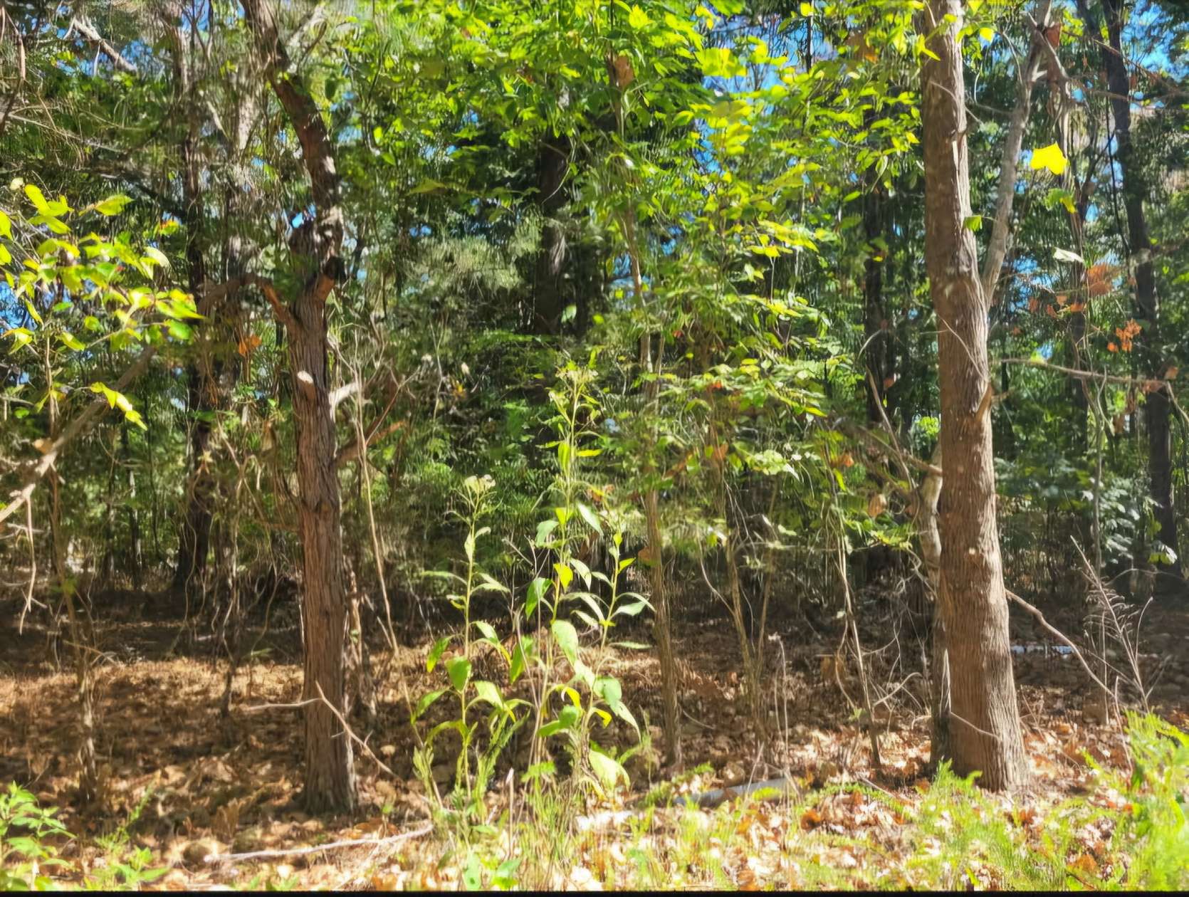 2.6 Acres of Residential Land for Sale in Centerville, Tennessee