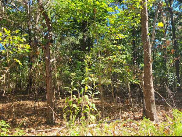 2.6 Acres of Residential Land for Sale in Centerville, Tennessee