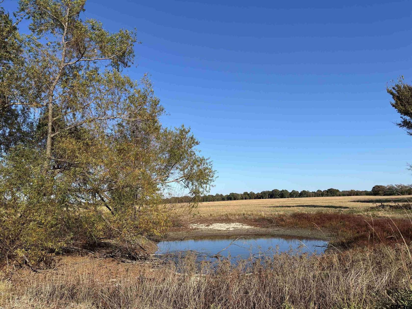 46 Acres of Agricultural & Residential Land for Sale in Ben Wheeler, Texas