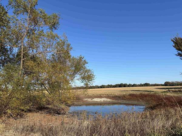 46 Acres of Agricultural Land for Sale in Ben Wheeler, Texas