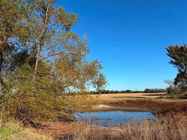 46 Acres of Agricultural & Residential Land for Sale in Ben Wheeler, Texas