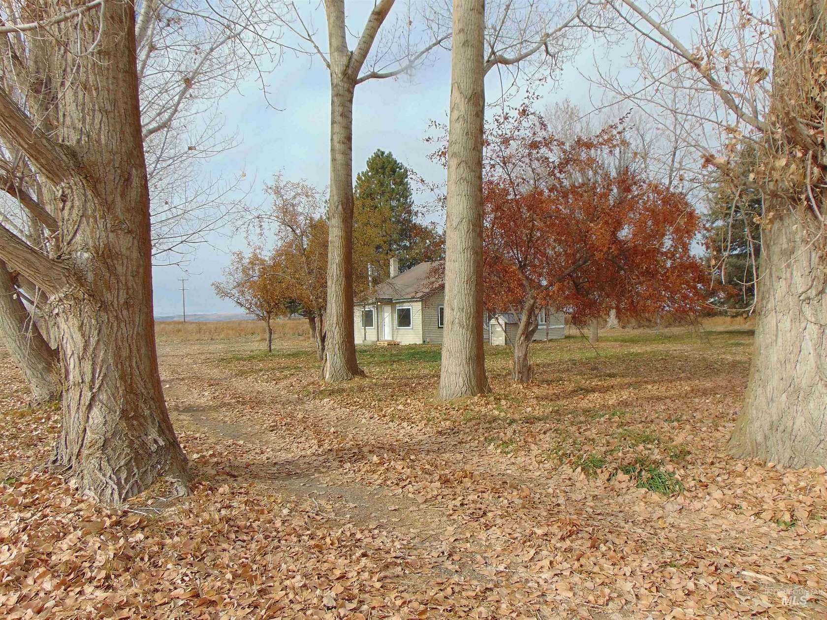 6.25 Acres of Residential Land with Home for Sale in Vale, Oregon