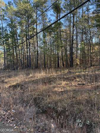 0.62 Acres of Residential Land for Sale in Sparta, Georgia