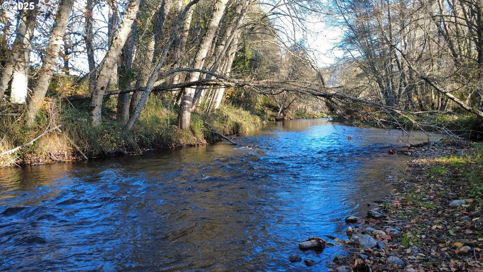 11.6 Acres of Land for Sale in Azalea, Oregon