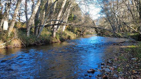 11.6 Acres of Land for Sale in Azalea, Oregon