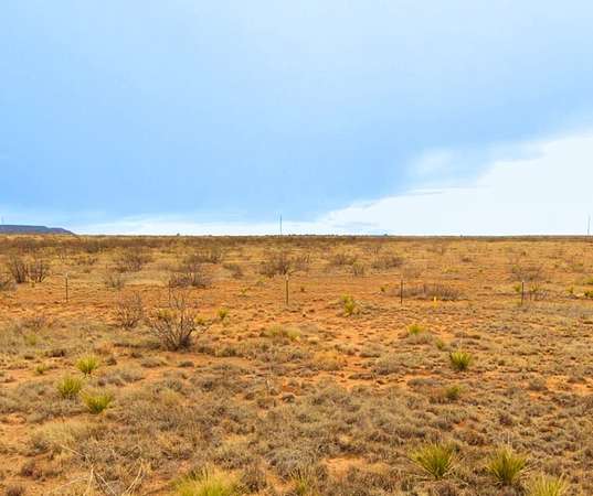 5 Acres of Land for Sale in Conchas Dam, New Mexico