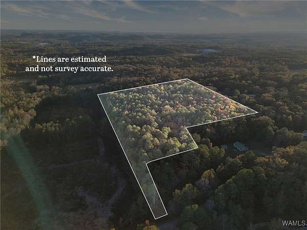 16 Acres of Land for Sale in Jasper, Alabama