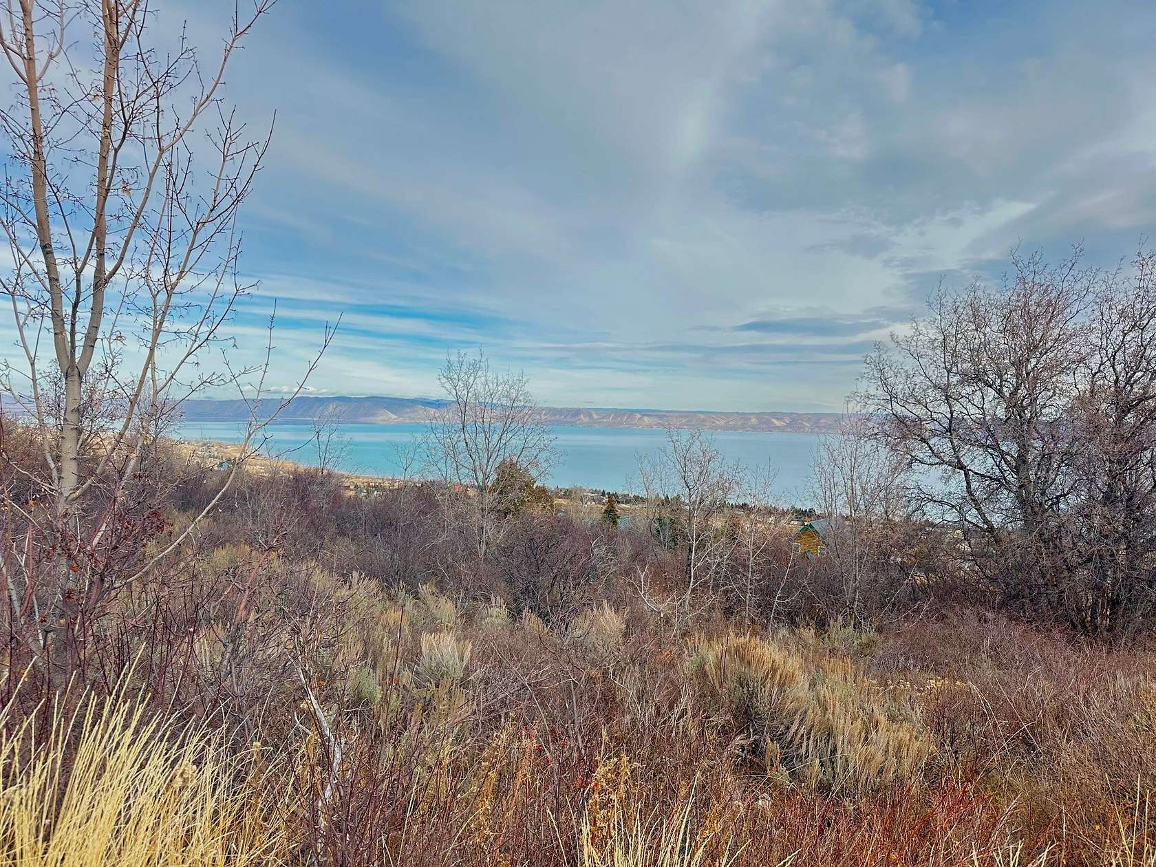 1 Acre of Residential Land for Sale in Fish Haven, Idaho