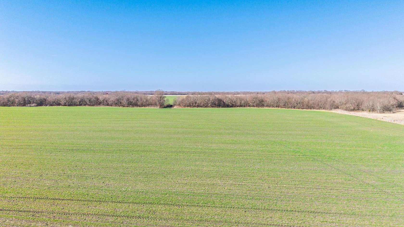 115 Acres of Land for Sale in Pecan Gap, Texas