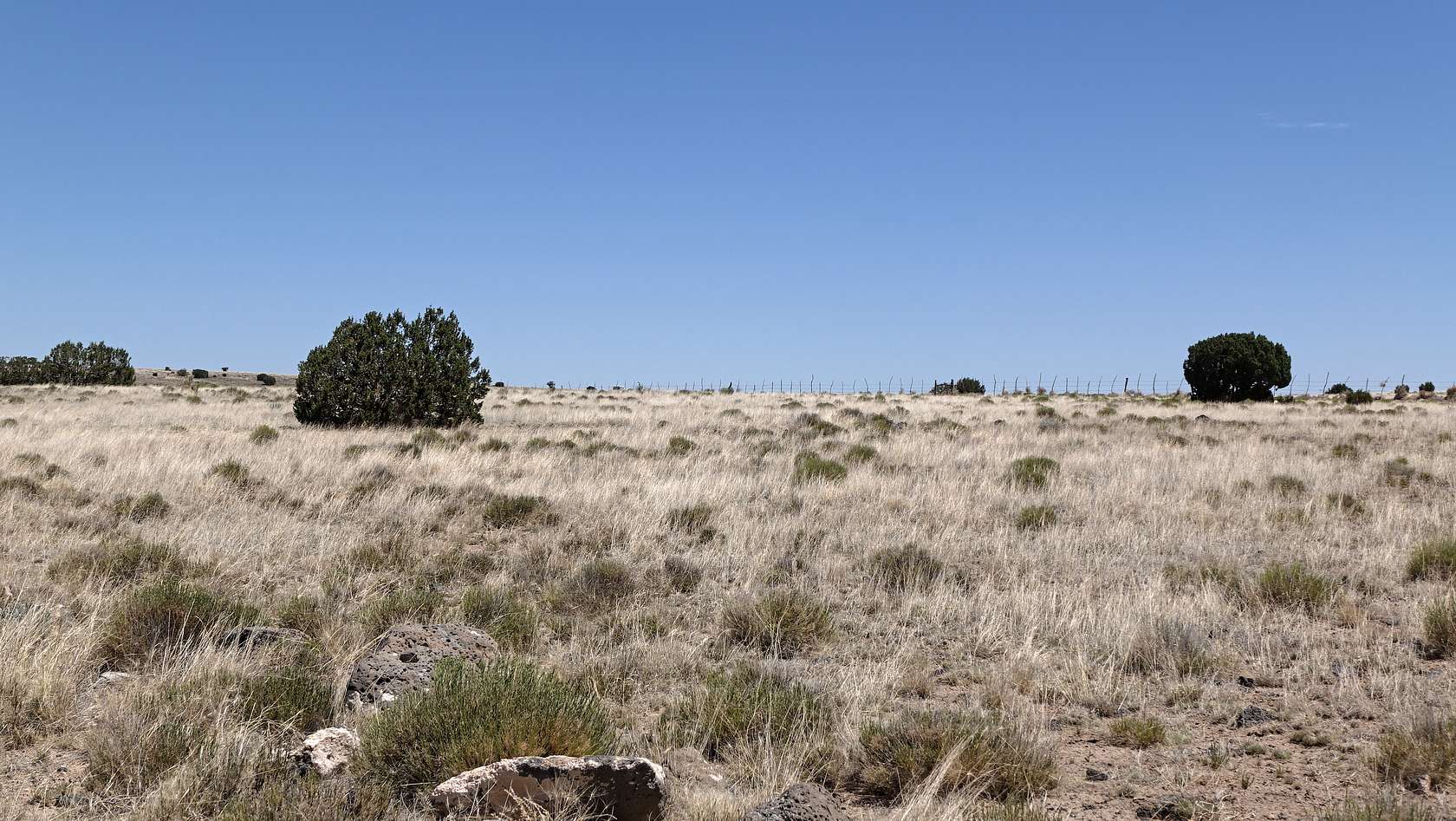 1 Acre of Residential Land for Sale in Concho, Arizona
