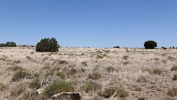 1 Acre of Residential Land for Sale in Concho, Arizona