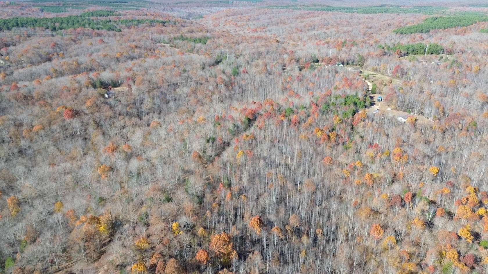 30 Acres of Recreational Land & Farm for Sale in Linden, Tennessee