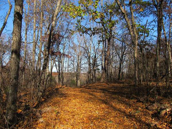 30 Acres of Recreational Land for Sale in Red Star, Arkansas