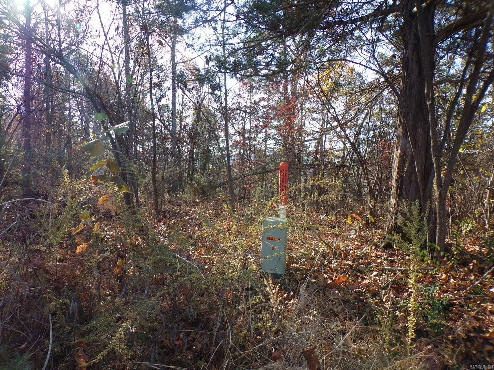 3 Acres of Residential Land for Sale in Mountain View, Arkansas