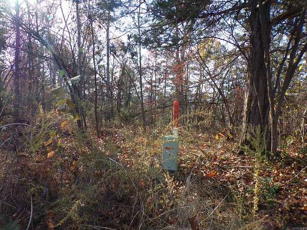 3 Acres of Residential Land for Sale in Mountain View, Arkansas