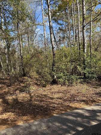 0.9 Acres of Land for Sale in Elkhart, Texas