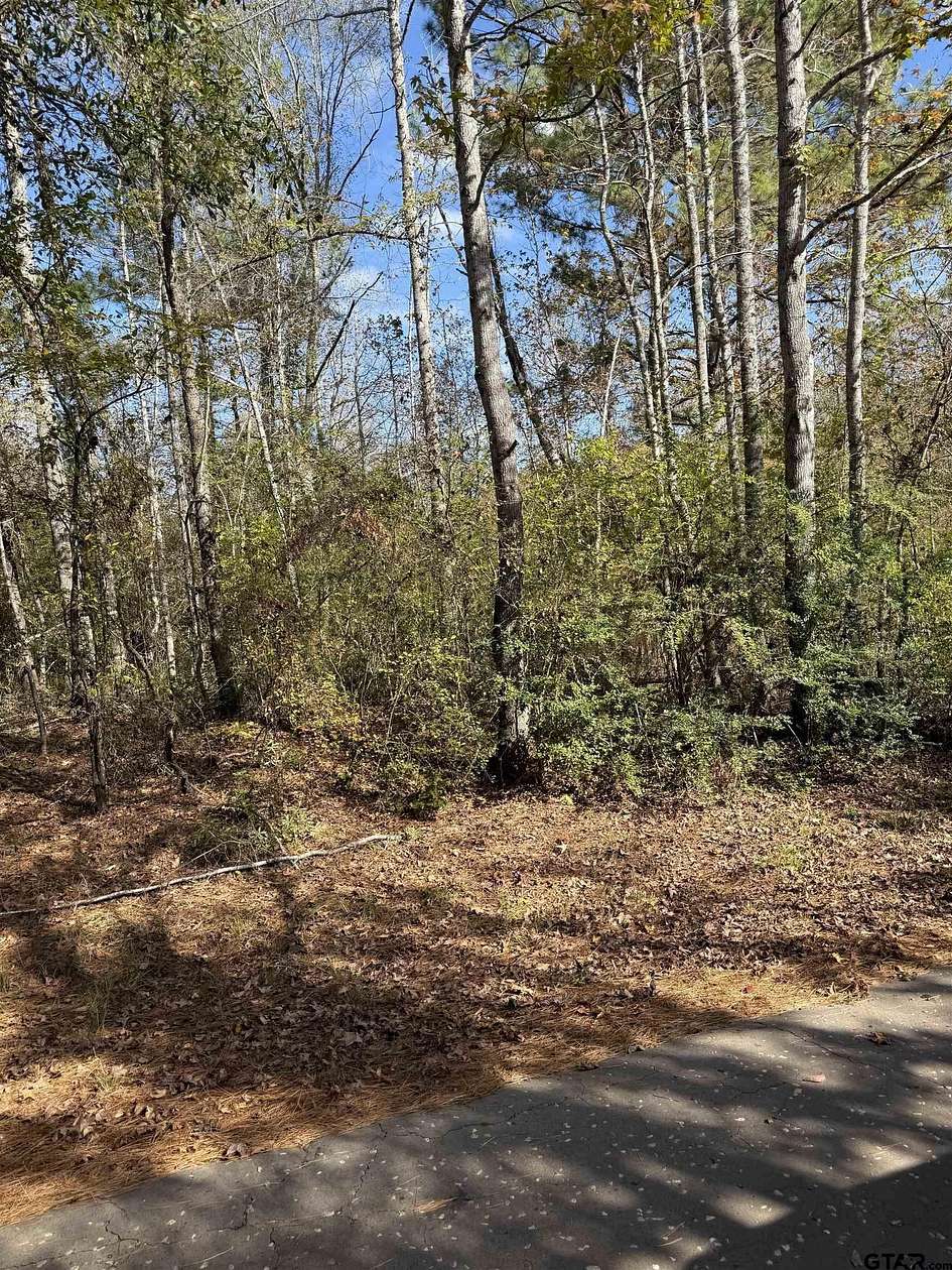 6 Acres of Land for Sale in Elkhart, Texas