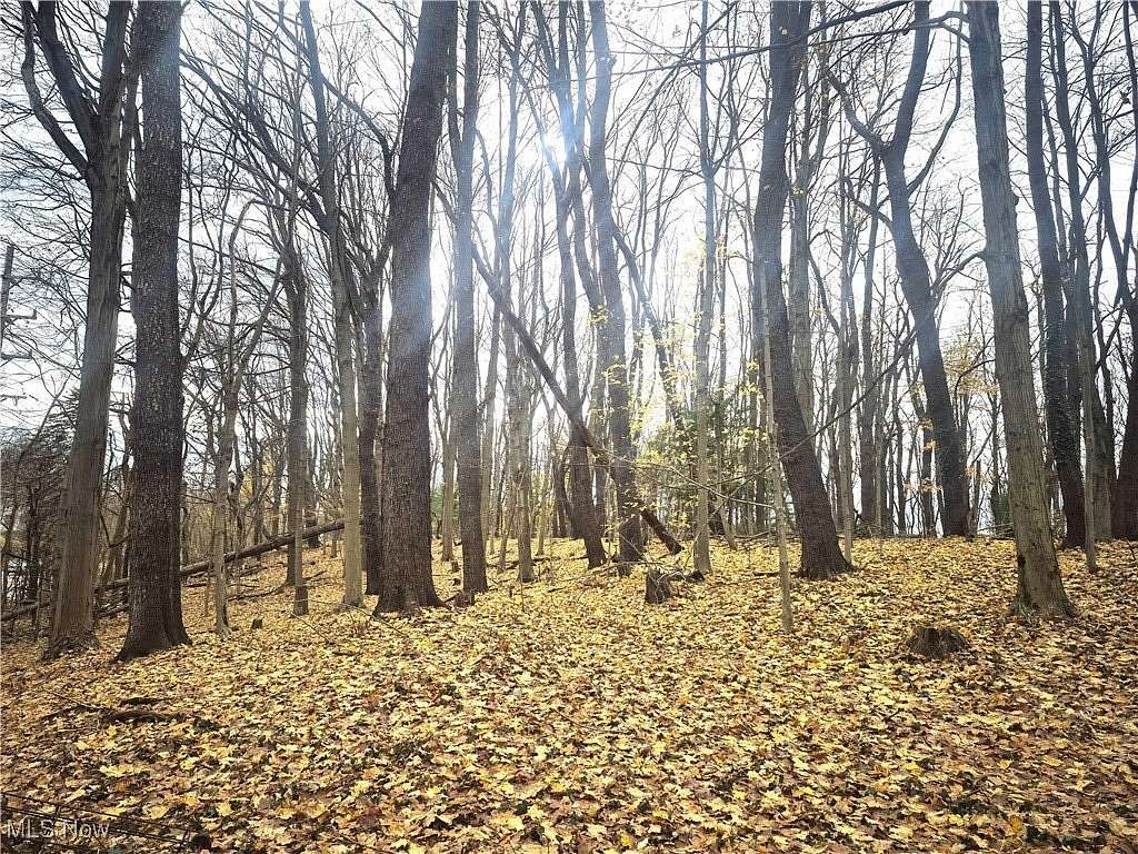 1.5 Acres of Residential Land for Sale in Chardon, Ohio