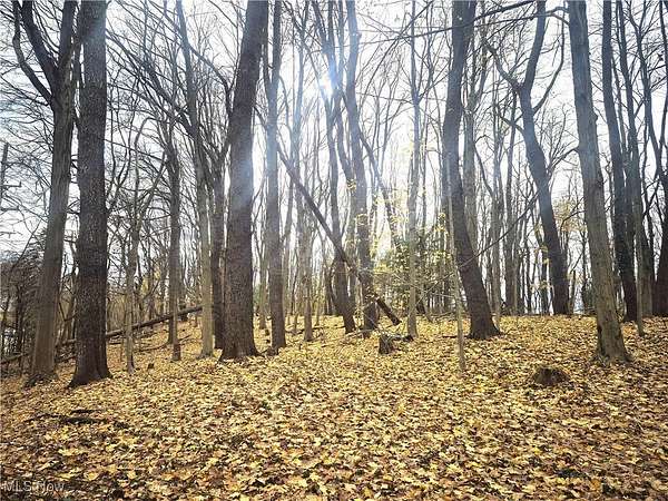 1.5 Acres of Residential Land for Sale in Chardon, Ohio