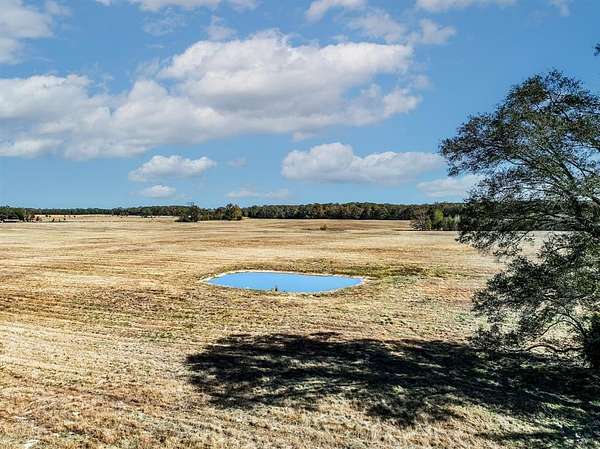 133 Acres of Land for Sale in De Kalb, Texas
