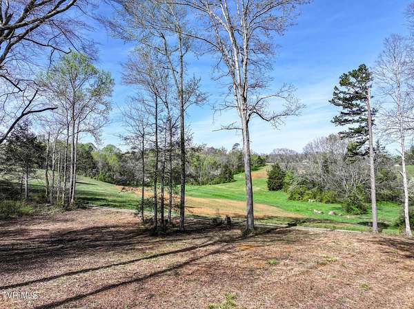 5 Acres of Residential Land for Sale in Chuckey, Tennessee