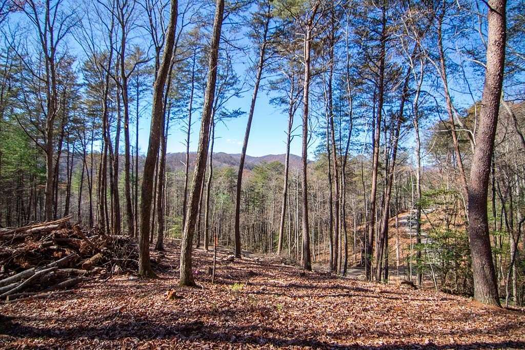 2.28 Acres of Residential Land with Home for Sale in Blue Ridge, Georgia