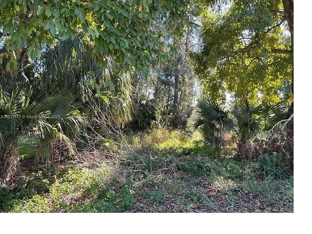 0.11 Acres of Residential Land for Sale in Clewiston, Florida