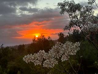 2 Acres of Residential Land with Home for Sale in Hawaiian Ocean View, Hawaii