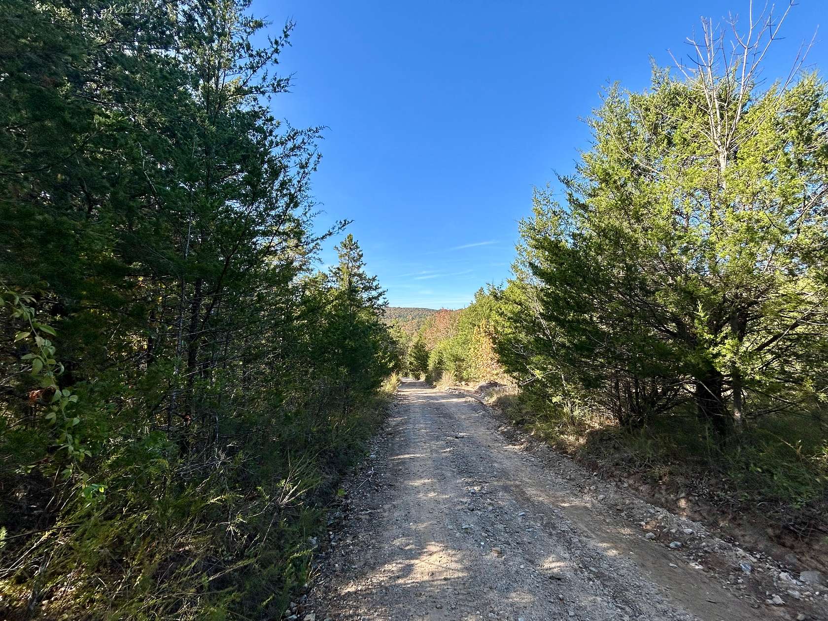 20 Acres of Recreational Land & Farm for Sale in Mountain View, Arkansas