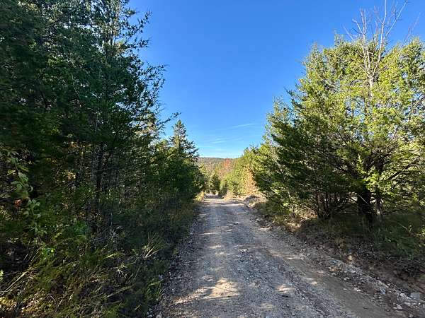 20 Acres of Recreational Land & Farm for Sale in Mountain View, Arkansas