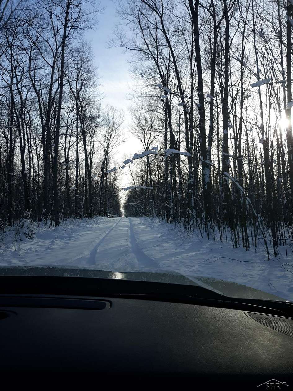 10 Acres of Land for Sale in Hillman, Michigan