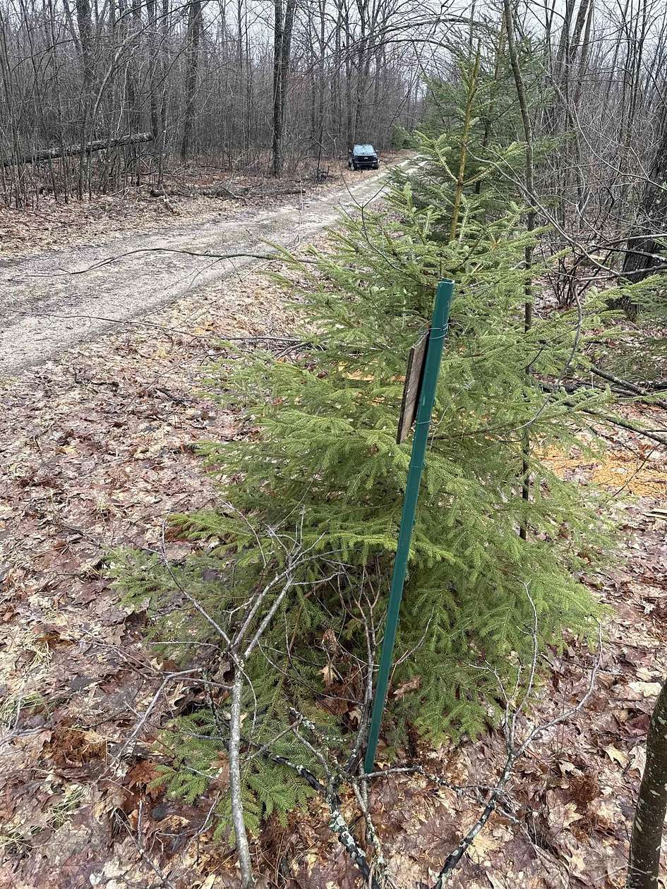 10 Acres of Land for Sale in Hillman, Michigan