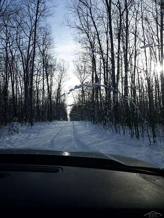 10 Acres of Land for Sale in Hillman, Michigan