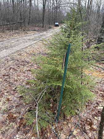 10 Acres of Land for Sale in Hillman, Michigan