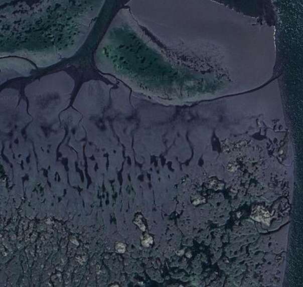 5 Acres of Agricultural Land for Lease in Oysterville, Washington