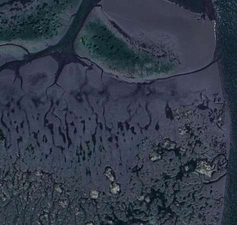 5 Acres of Agricultural Land for Lease in Oysterville, Washington