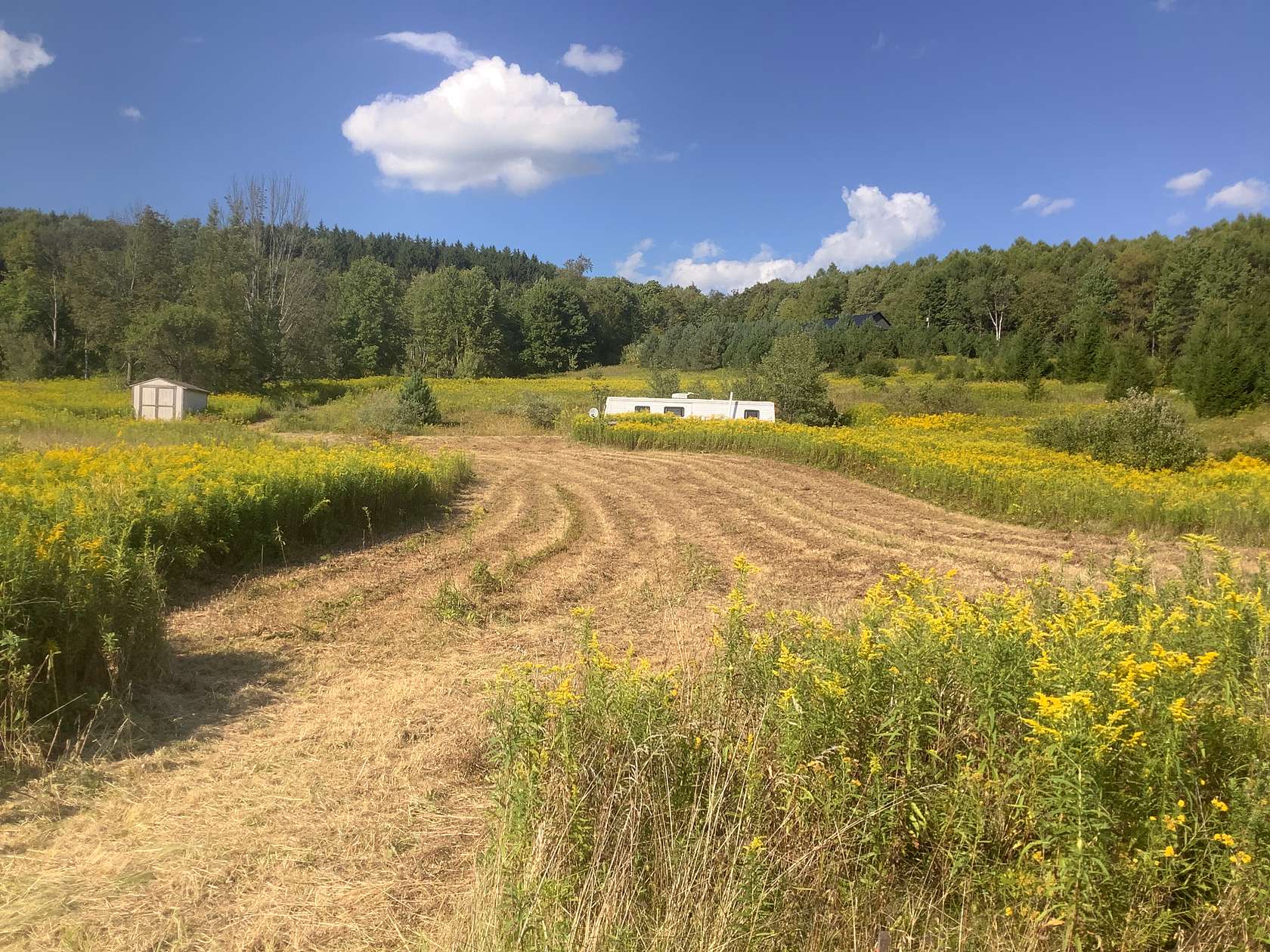 43.8 Acres of Recreational Land & Farm for Sale in Marathon, New York