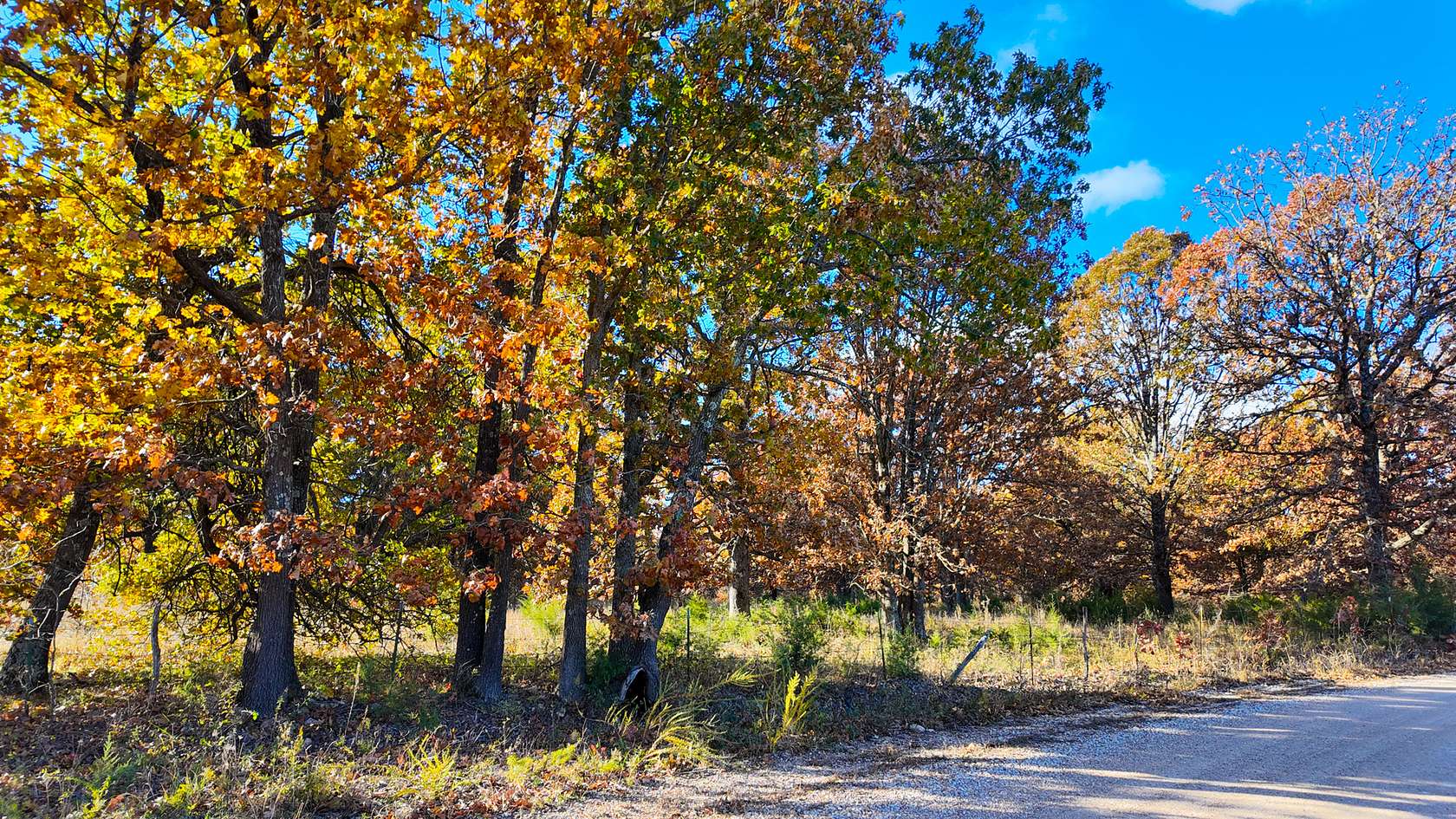 40 Acres of Recreational Land & Farm for Sale in Wheatland, Missouri