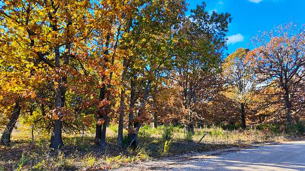 40 Acres of Recreational Land & Farm for Sale in Wheatland, Missouri