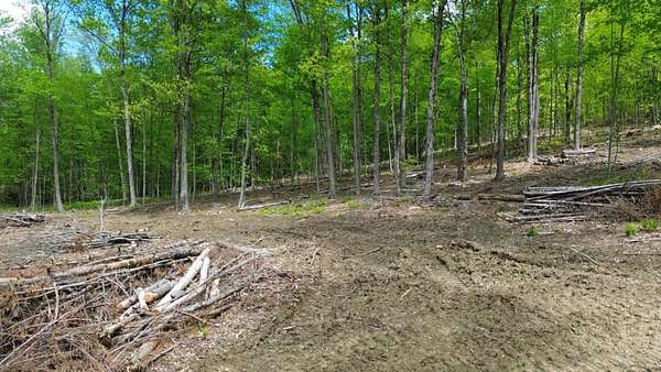 3.63 Acres of Residential Land for Sale in Hinsdale, New Hampshire